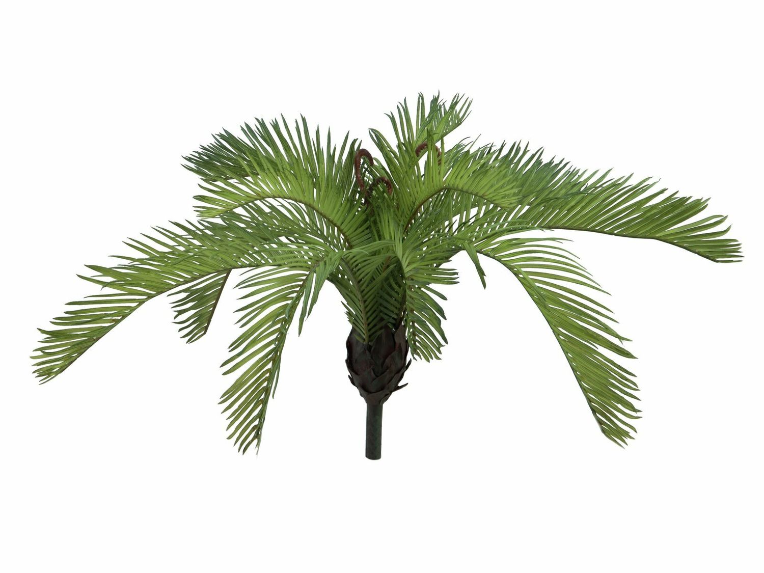 Saniainen tekokasvi 50cm