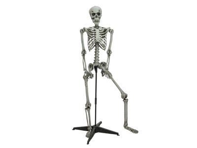 Seisova luuranko 160cm, halloweenkoriste