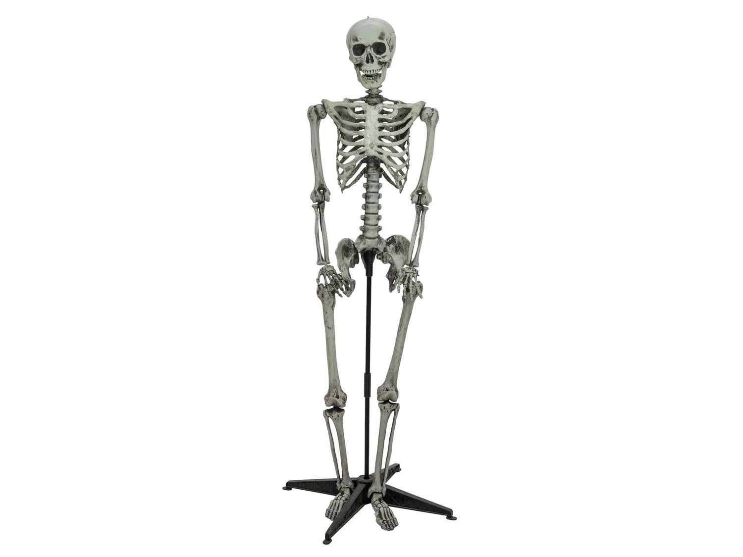 Seisova luuranko 160cm, halloweenkoriste
