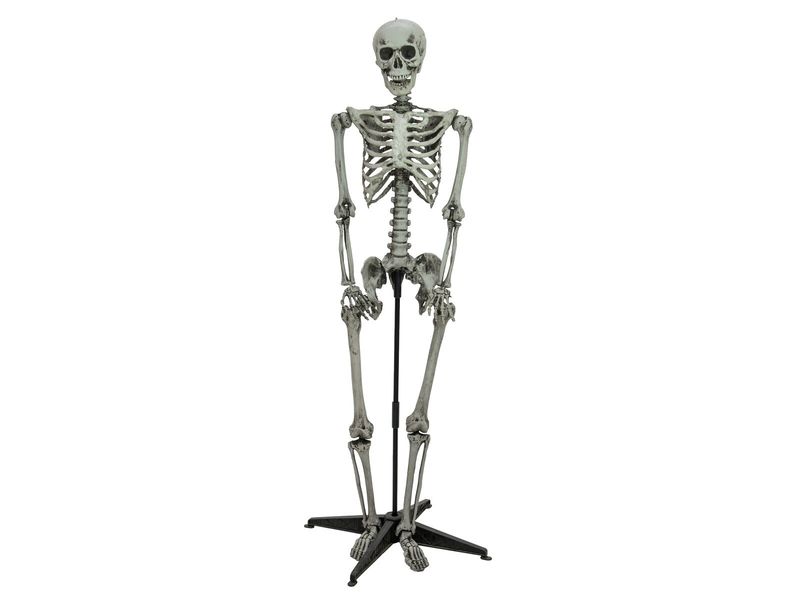 Seisova luuranko 160cm, halloweenkoriste