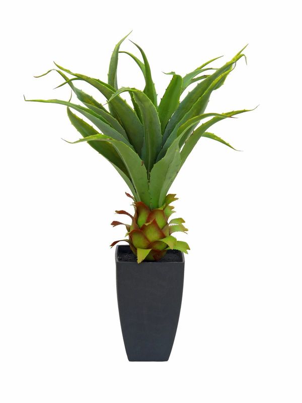POISTOTUOTE: Agave tekokasvi ruukussa 75cm