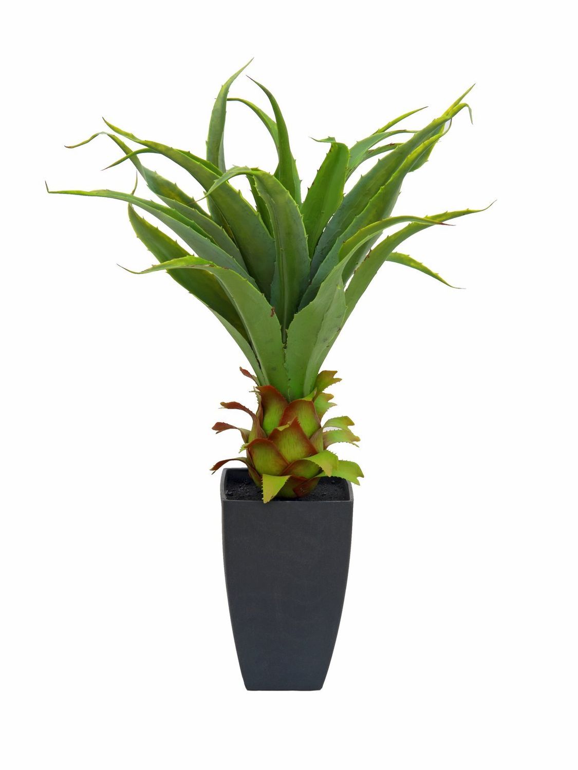 POISTOTUOTE: Agave tekokasvi ruukussa 75cm