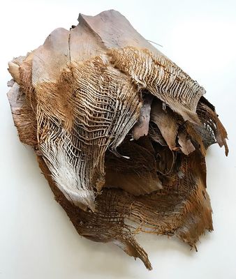 Palmupuun kuori 250g