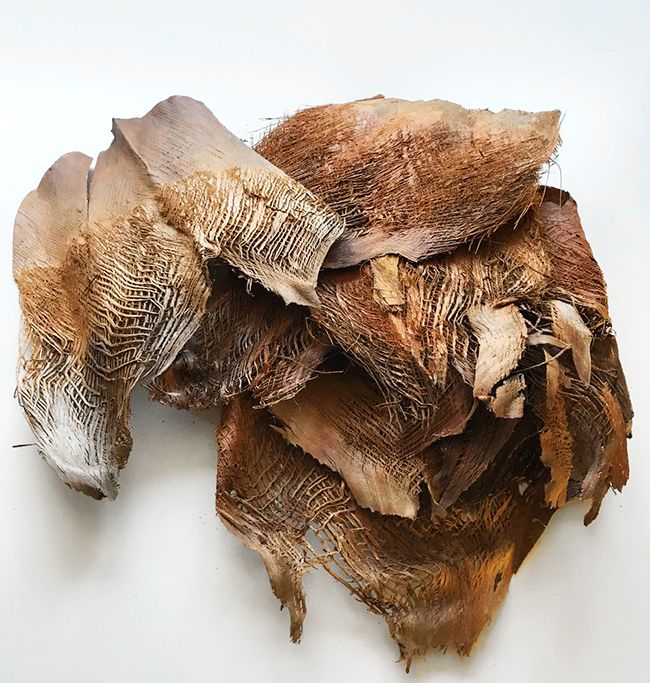 Palmupuun kuori 250g