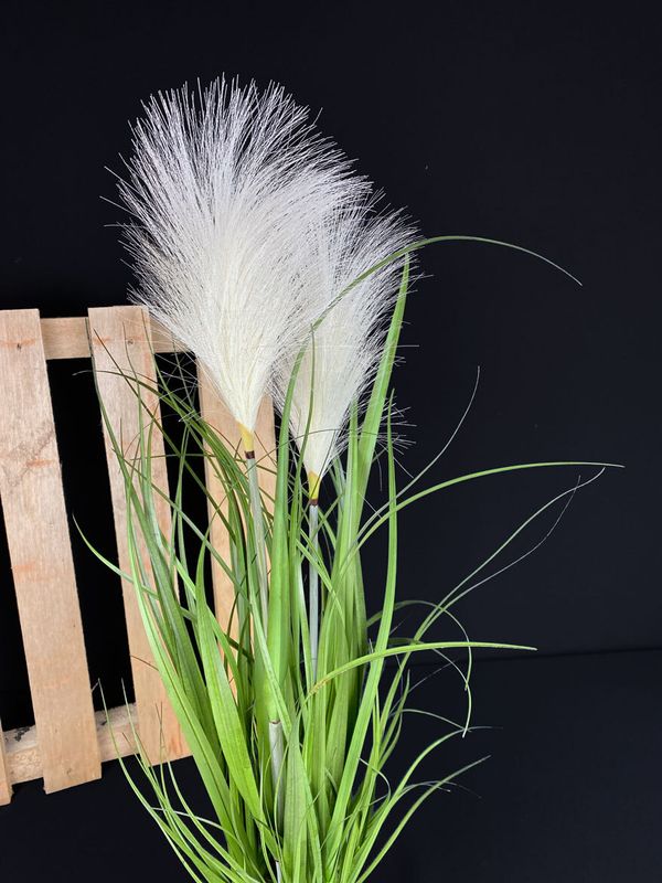 Pampakoristeheinä ruukussa 67cm