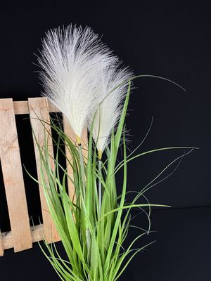 Pampakoristeheinä ruukussa 67cm
