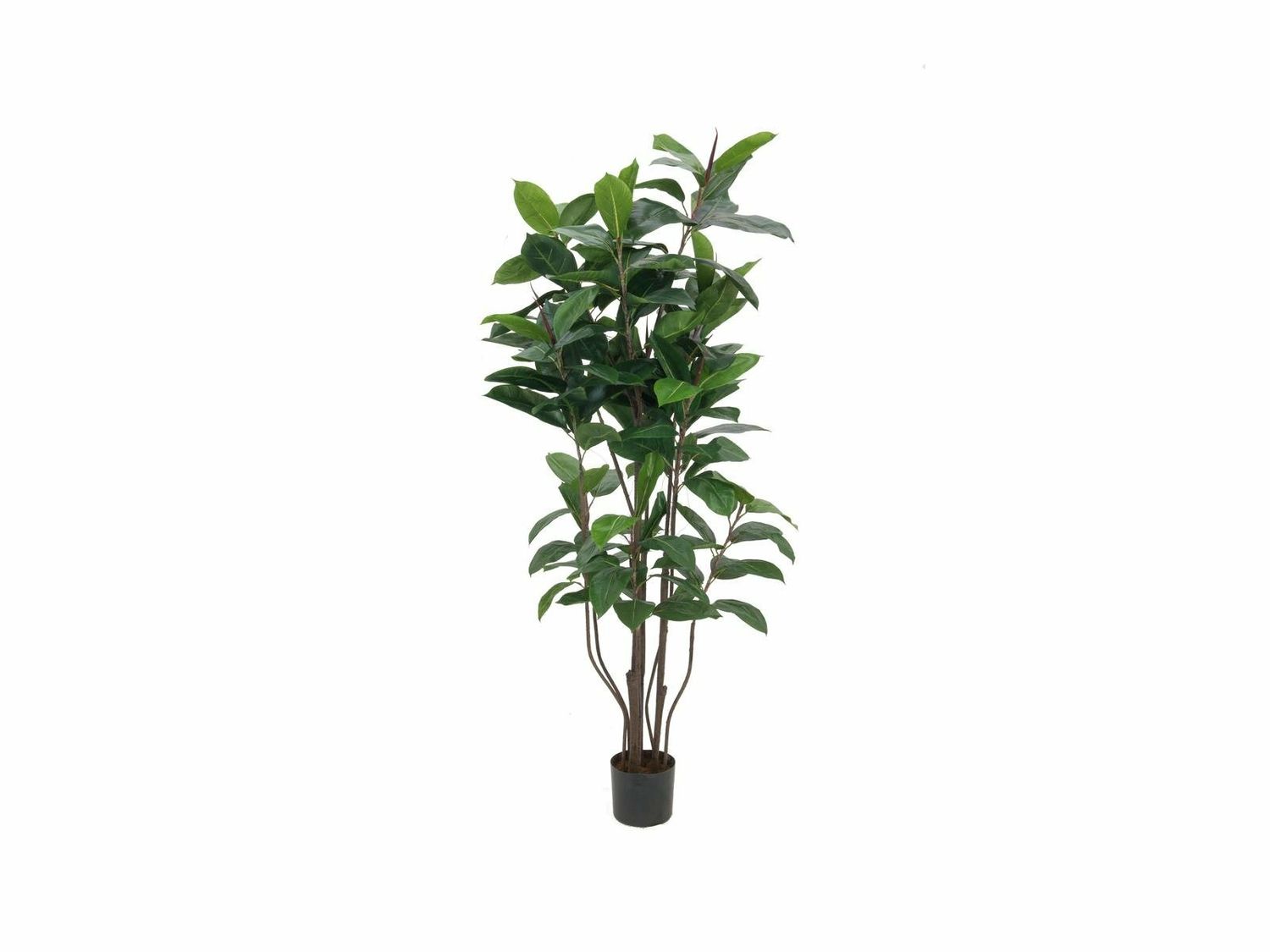 Parakautsupuu (kumipuu) tekokasvi 150cm