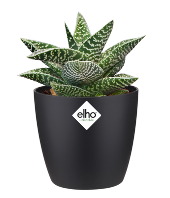 Pieni kukkaruukku 10cm - Musta ELHO