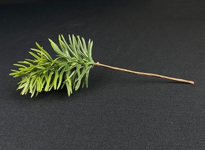 Pieni, vihreä tekohavuoksa