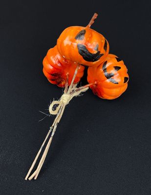Halloween kurpitsa