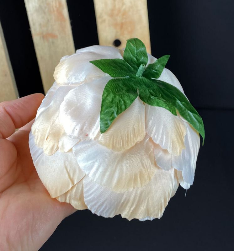 Pioni tekokukkaosa, vaalea aprikoosi
