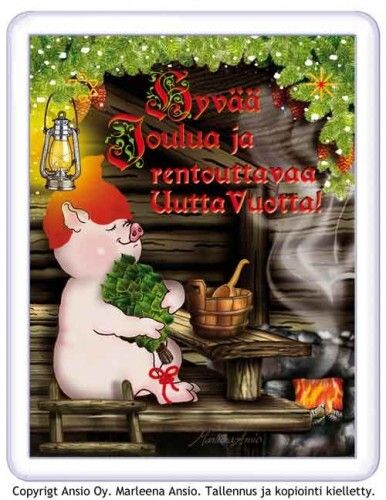 Magneetti: saunova possu