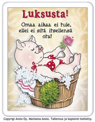 Magneetti: possun oma aika