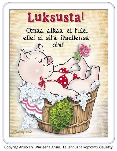 Magneetti: possun oma aika