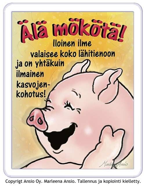 Magneetti: älä mökötä