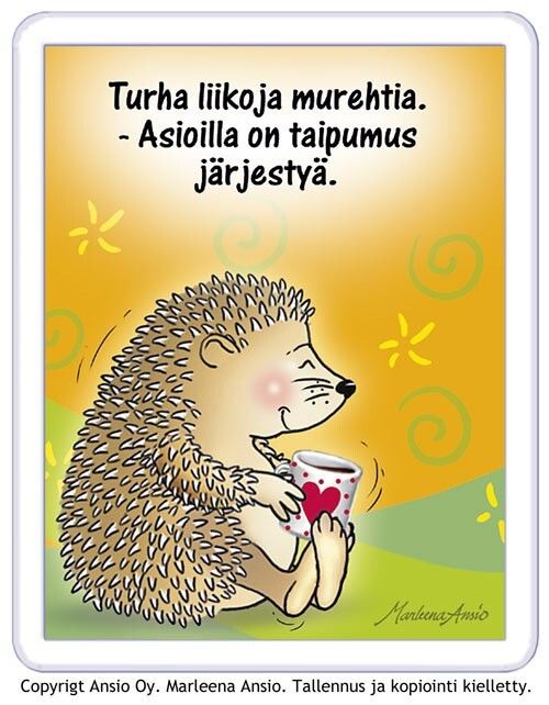 Magneetti: siili