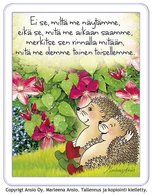 Magneetti: siilit