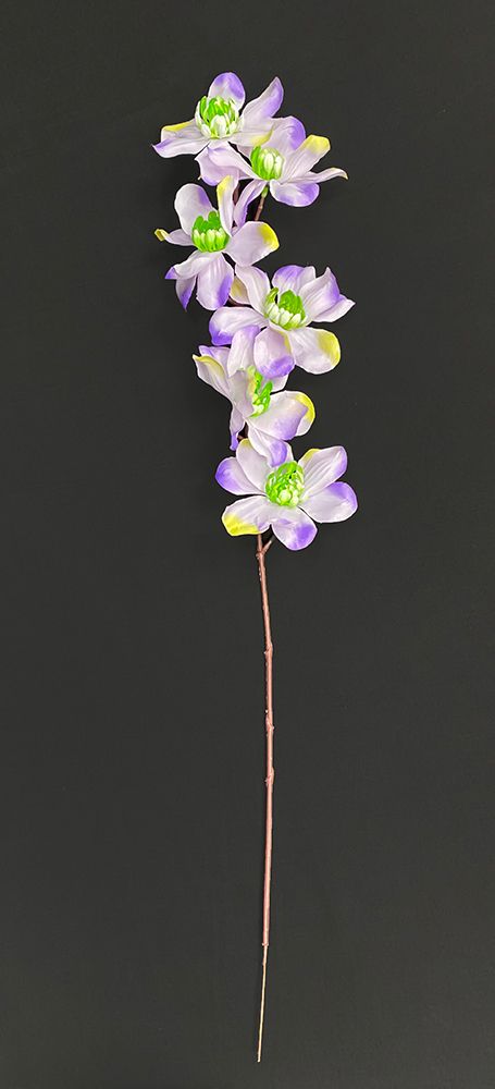 Magnolia tekokukka, violetti