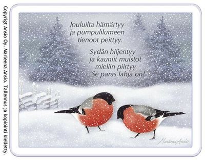 Magneetti: punatulkut