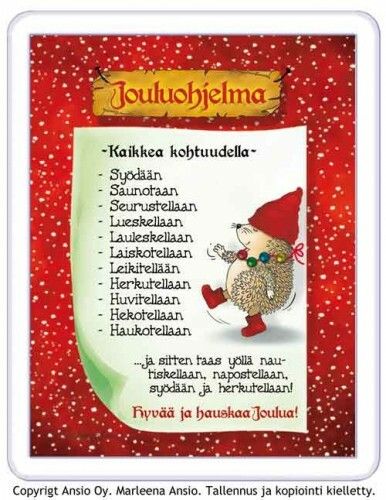 Magneetti: siilin jouluohjelma