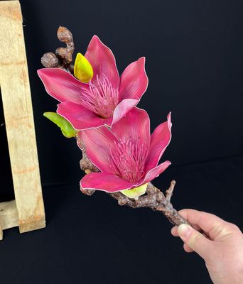 Magnolia kestokukka, tumma viininpunainen