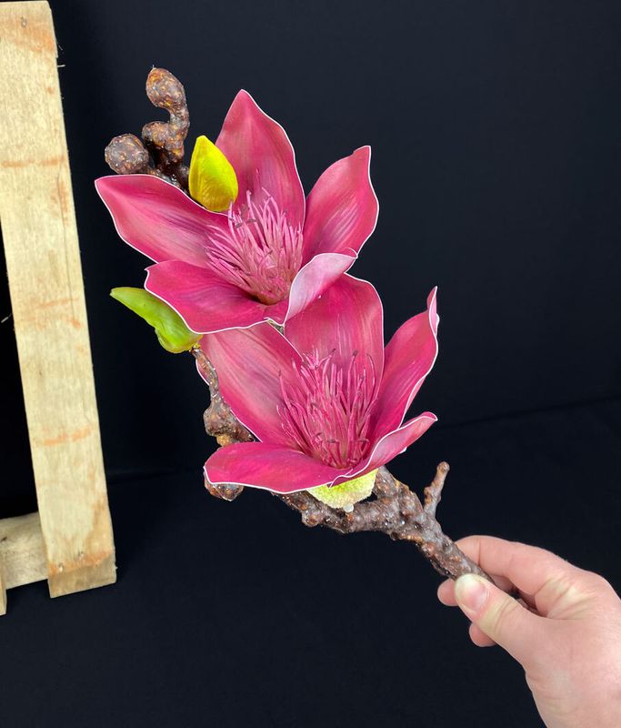 Magnolia kestokukka, tumma viininpunainen