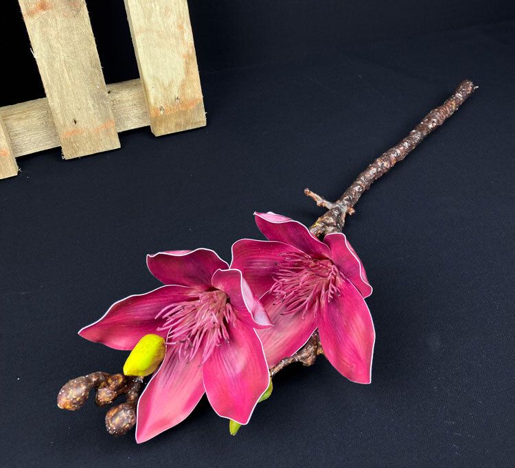 Magnolia kestokukka, tumma viininpunainen