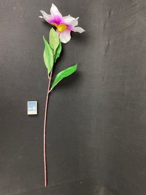 Magnolia kestokukka, lila/vaaleanvioletti