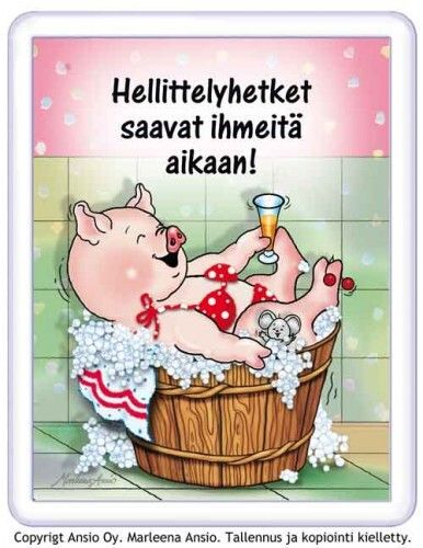 Magneetti: possun kylpyhetki