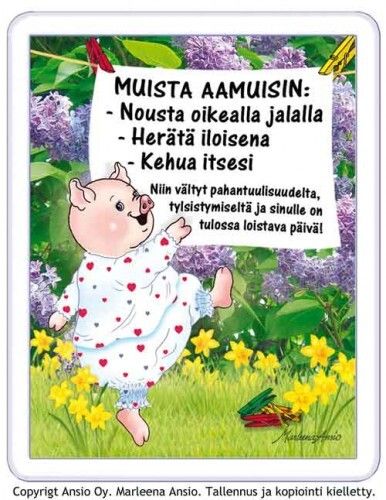 Magneetti: possun aamut