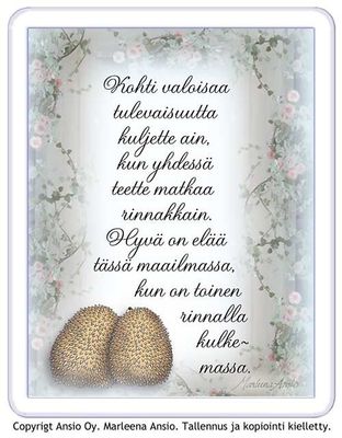 Magneetti: siilipariskunta