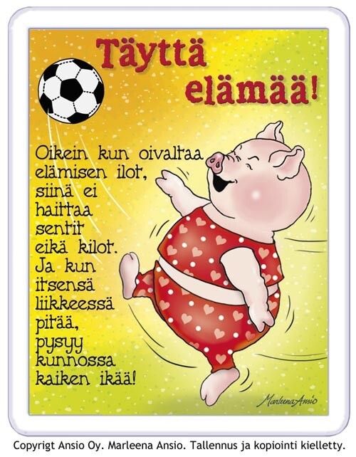 Magneetti: possun neuvo elämään