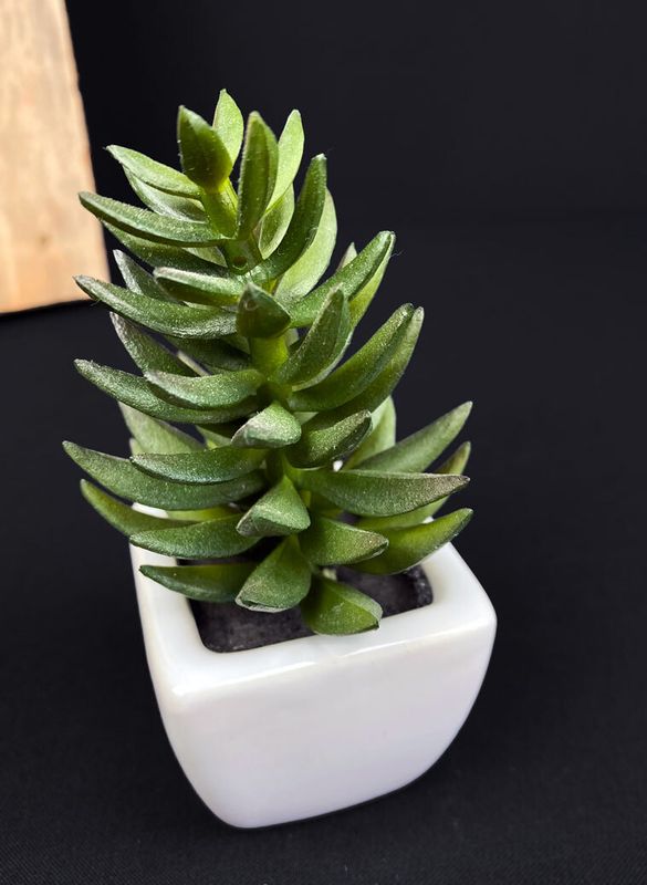 Mehikasvi tekokasvi ruukussa 12cm
