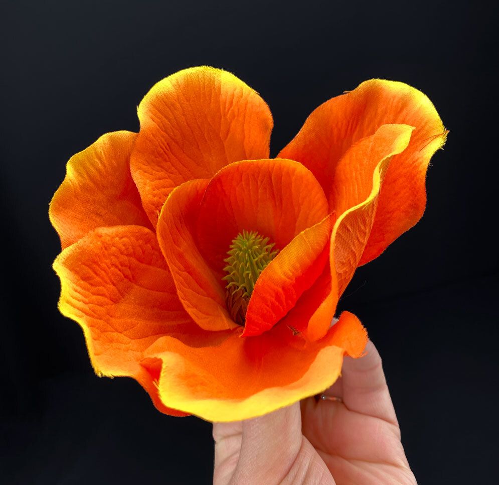 Magnolia kestokukkapää, oranssi