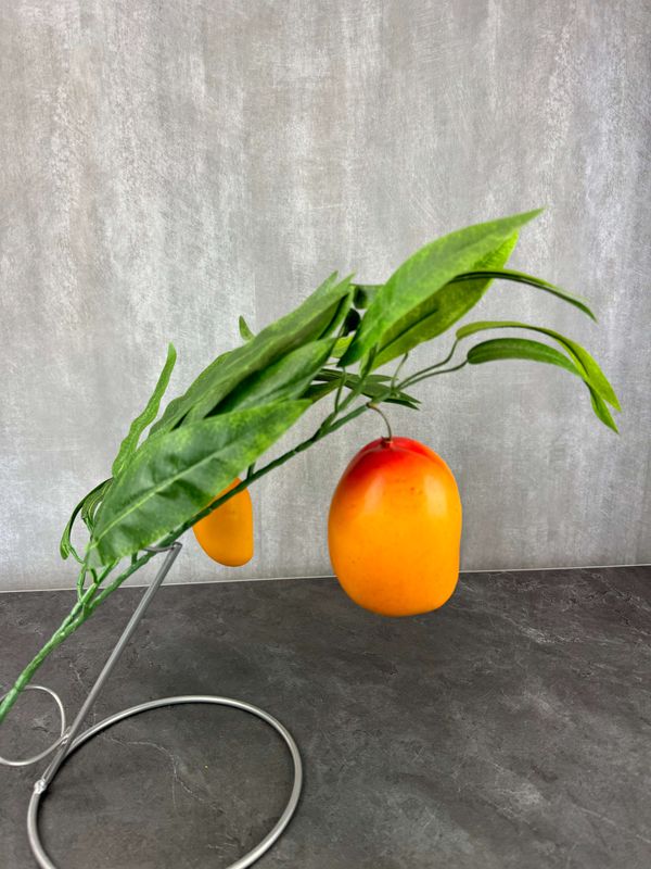 Mangon tekolehti