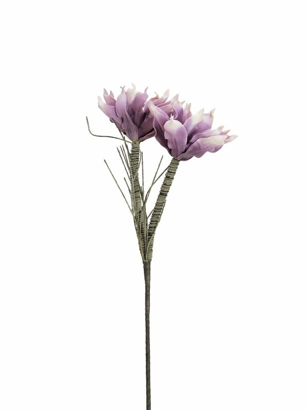 Magnolian tekokukka-oksa 1m