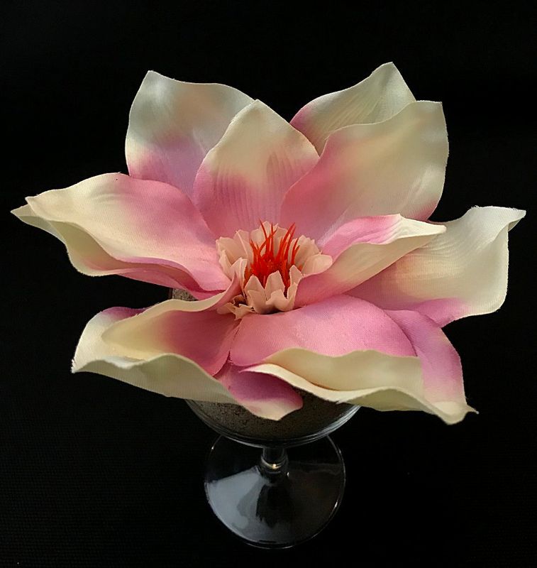 Magnolia tekokukkapää, kerma/viininpunainen
