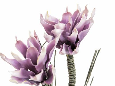 Magnolian tekokukka-oksa 1m