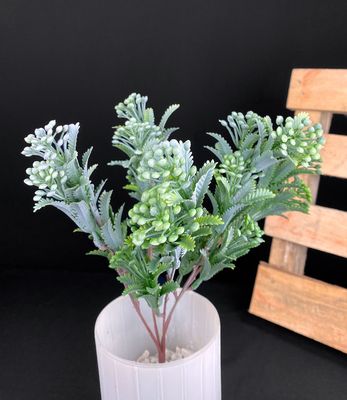 Mahonia teko-oksa, vihreä/valkoinen