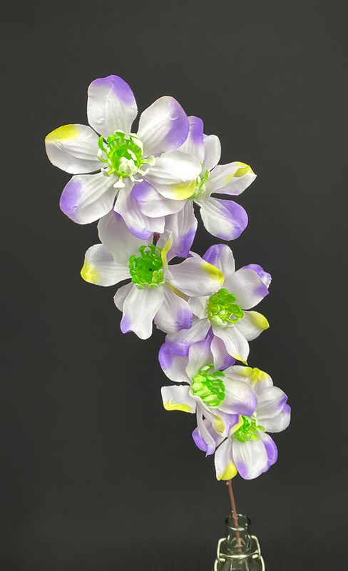 Magnolia tekokukka, violetti