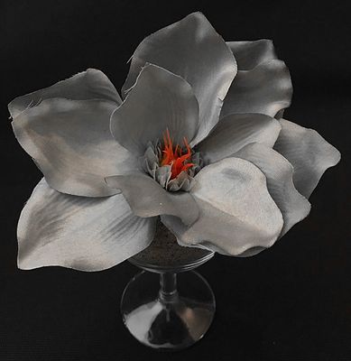 Magnolia tekokukkapää, harmaa