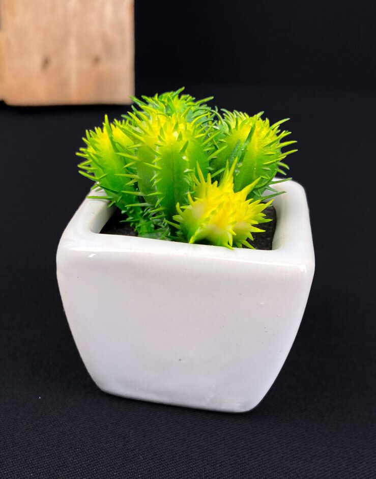 Minikaktus tekokasvi ruukussa 7cm