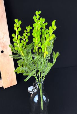 Mimosa tekokukkakimppu, vihreä