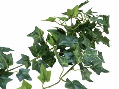 Muratti teko-oksa 70cm