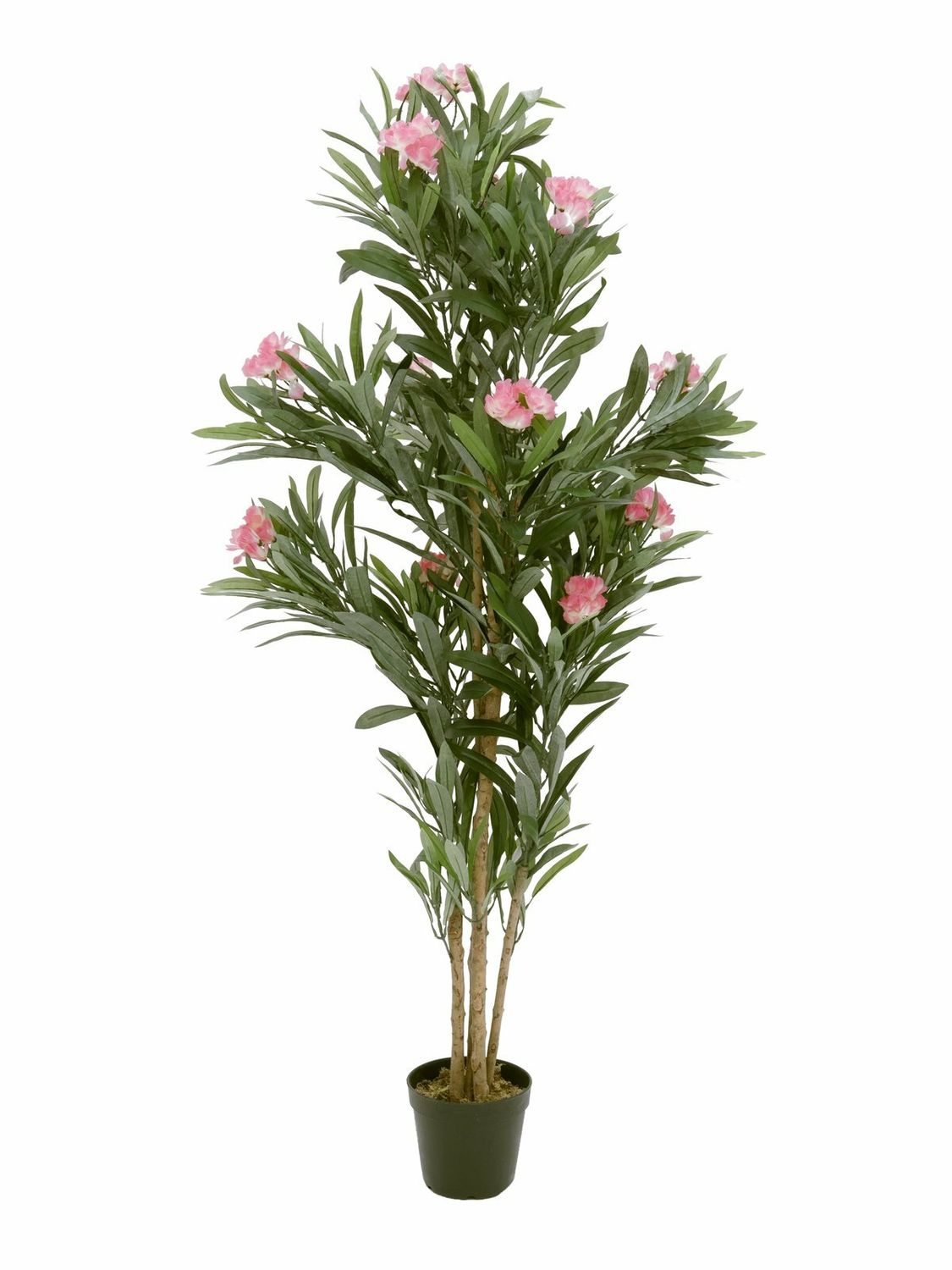 Oleanteri tekopensas vaaleanpunaiset kukat 150cm