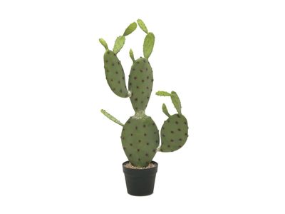 Opuntiakaktus (Nopal) tekokasvi ruukussa 75cm
