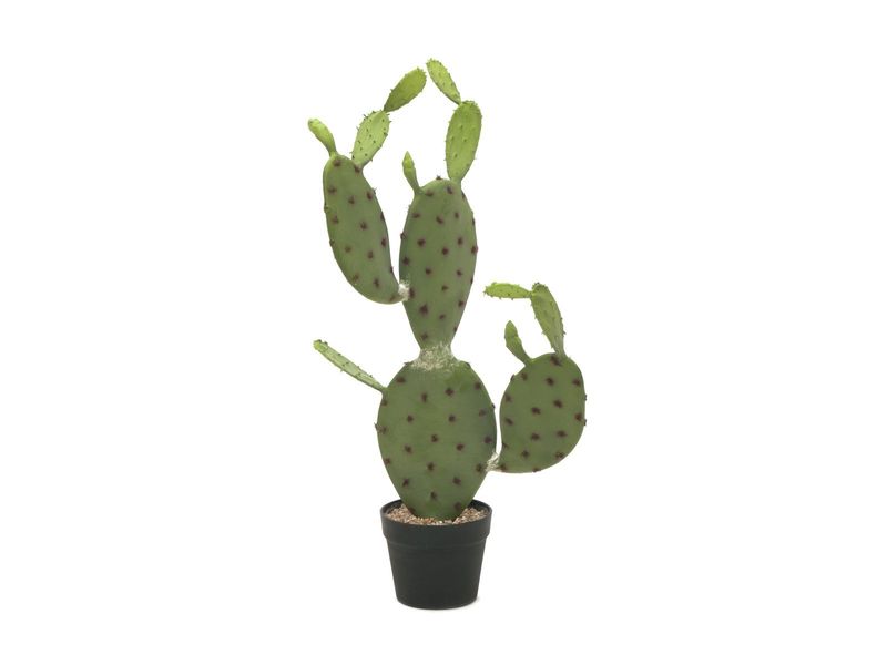 Opuntiakaktus (Nopal) tekokasvi ruukussa 75cm