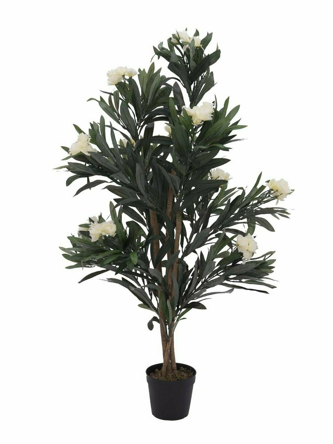 Oleanteri tekopensas ruukussa 120cm