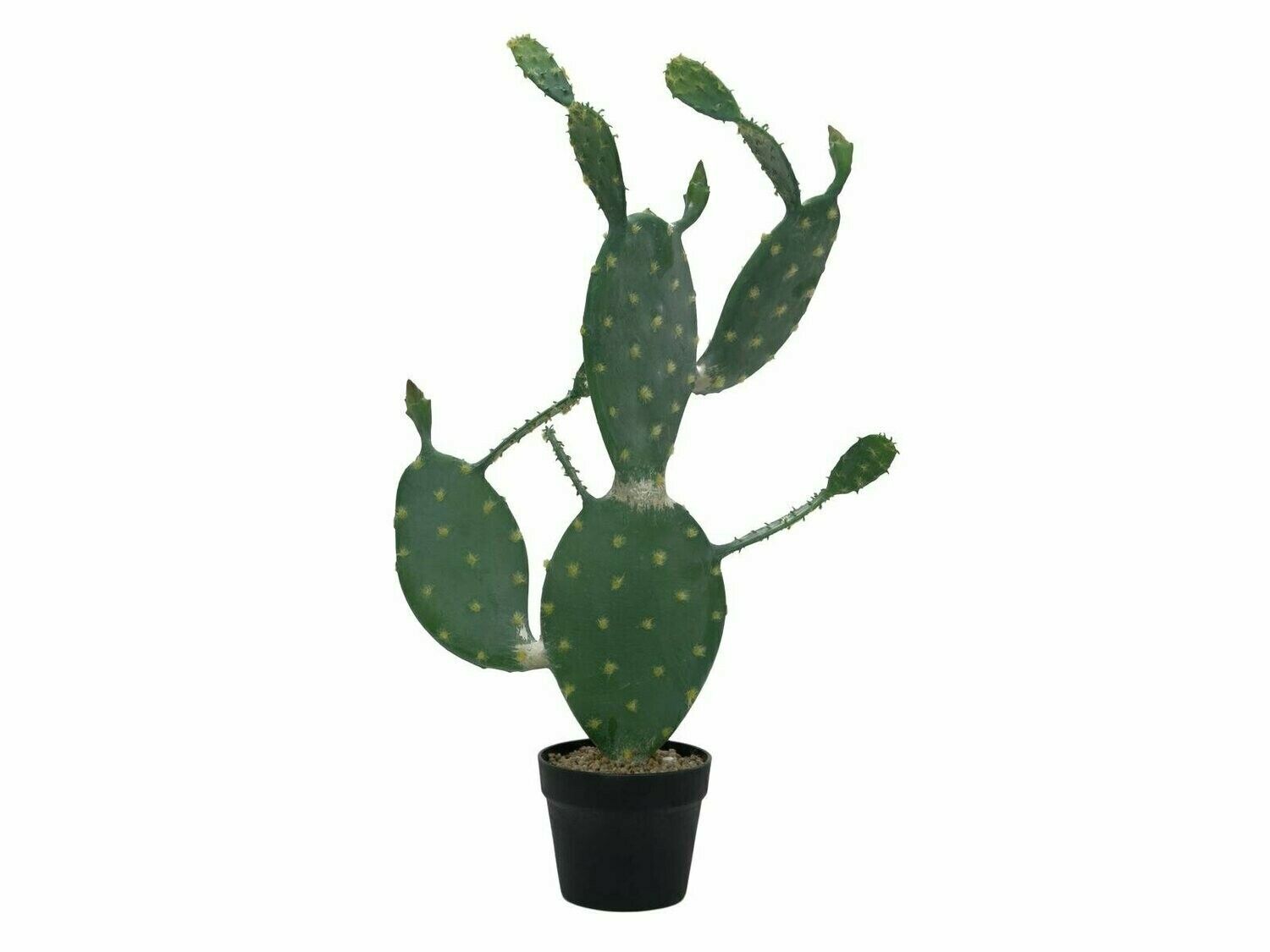 Opuntiakaktus (Nopal) tekokasvi ruukussa 76cm