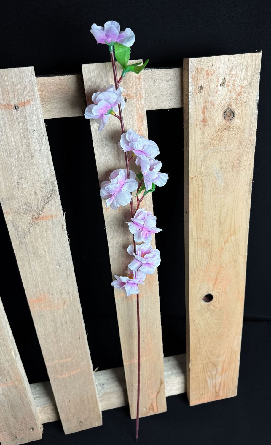 Omenankukka kestokukka, vaalea violetti